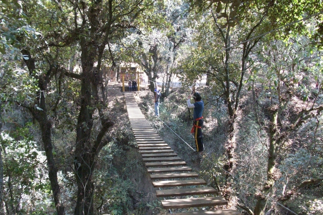 puentes colgantes